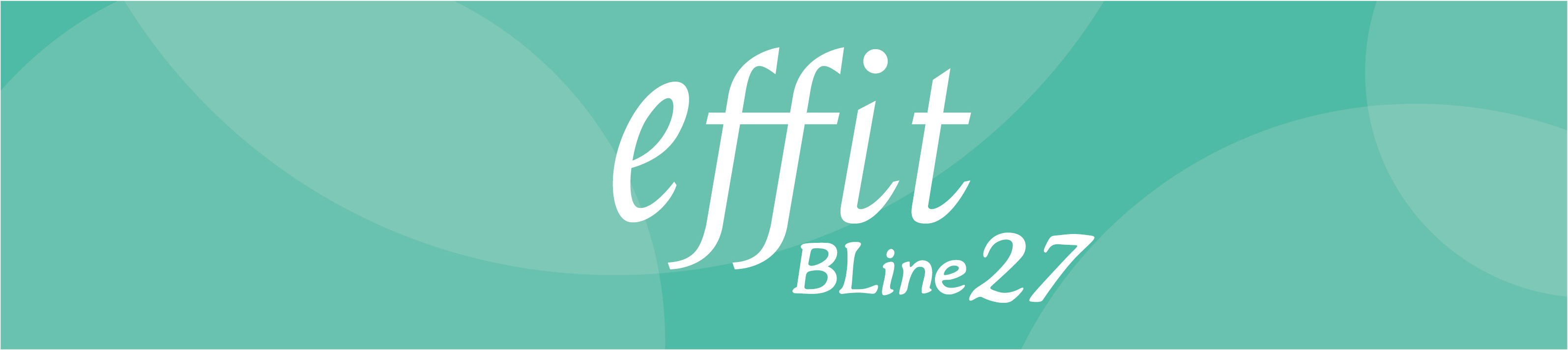 エフィット BLine27 基礎化粧品