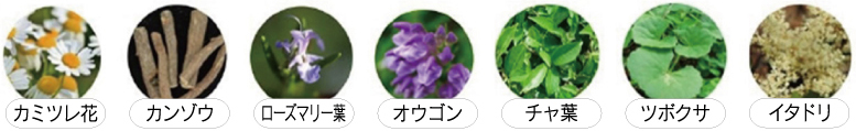 皮膚コンディショニング7種天然ハーブブレンド